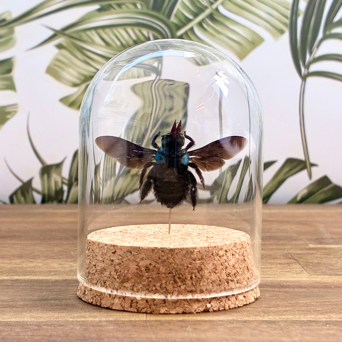 Blue Carpenter Bee