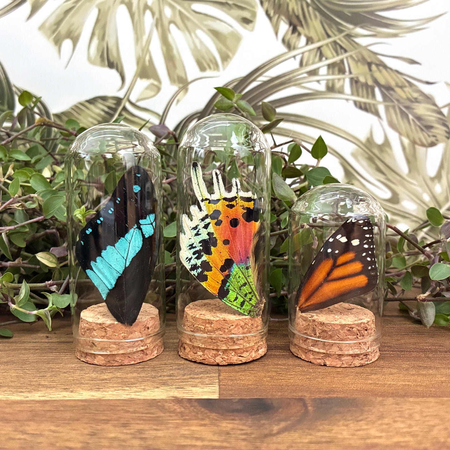 Assorted Wing Jars
