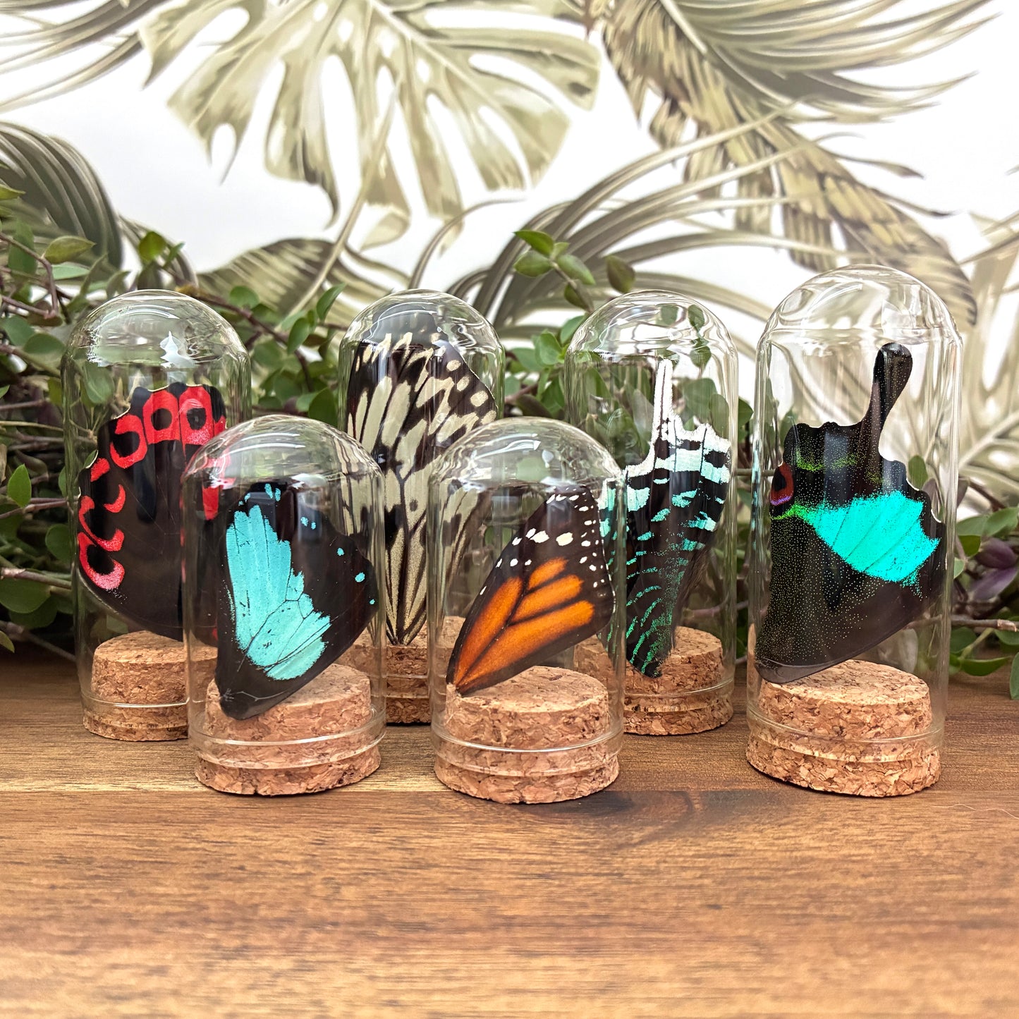 Assorted Wing Jars