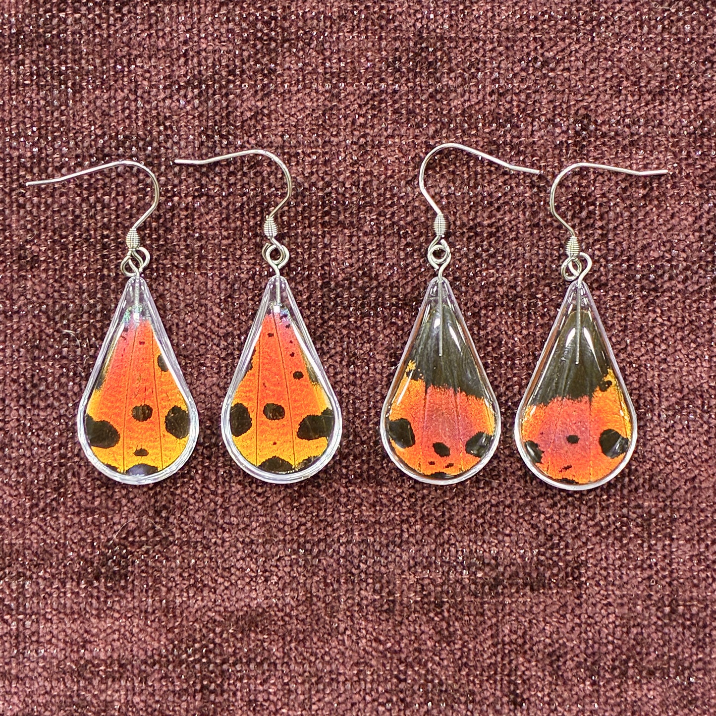 Earrings - Madagascan Sunset Moth