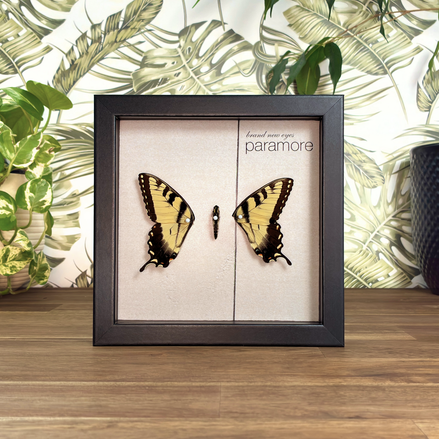 'Brand New Eyes' Album Art - Eastern Tiger Swallowtail