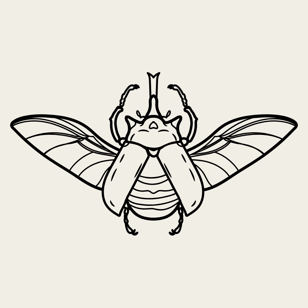 Other Insects