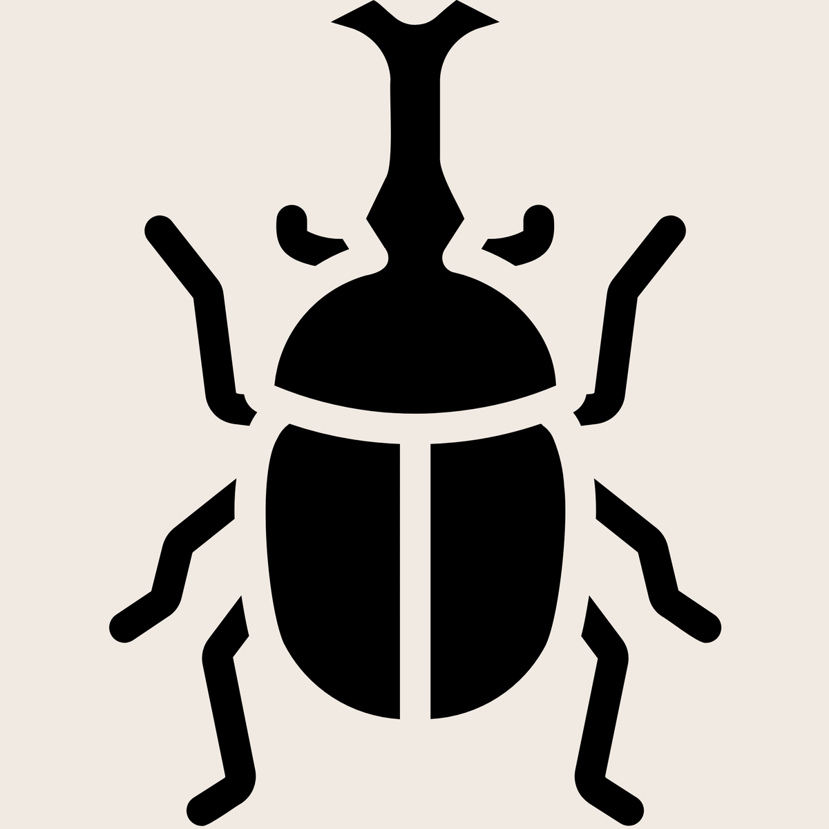 Beetle Frames