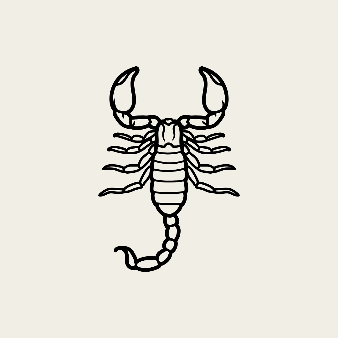Arachnids