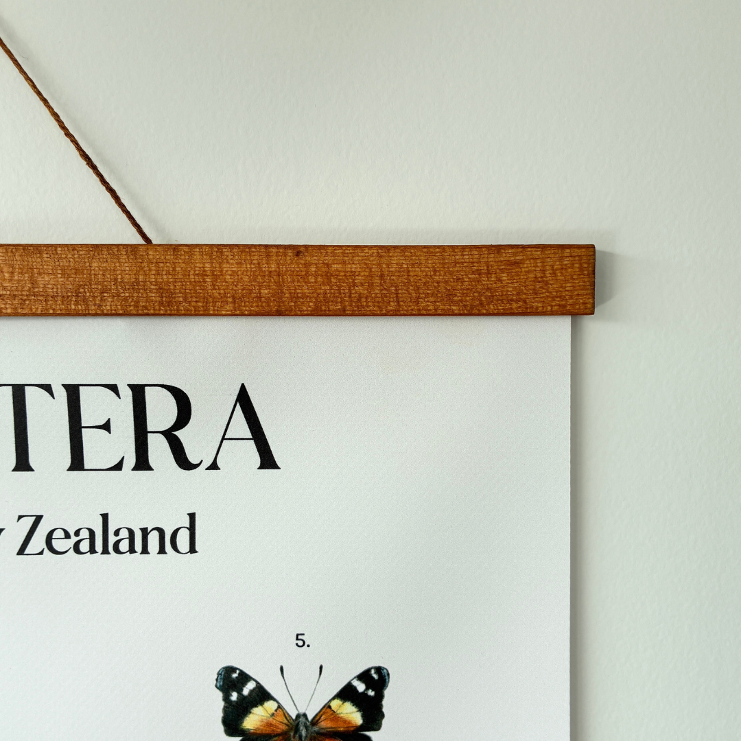Lepidoptera of Aotearoa New Zealand - Hanging Poster