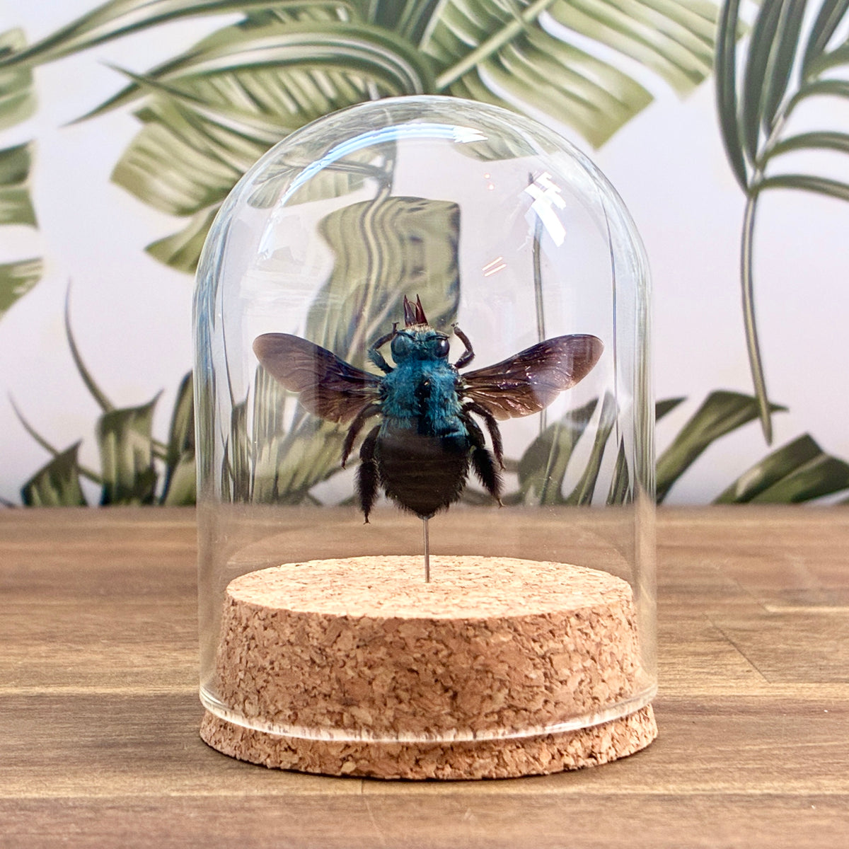Blue Carpenter Bee