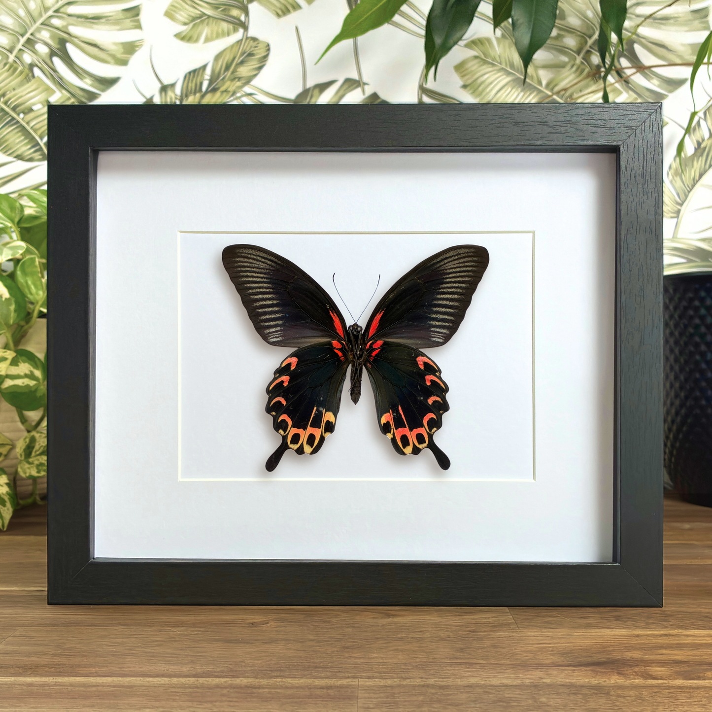 Red Mormon - Red Form